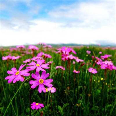 杂乱停车场停车